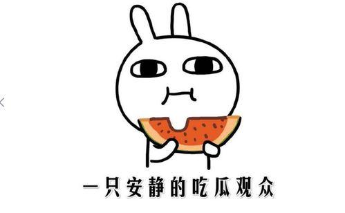 我喜欢吃瓜是啥意思,揭秘“吃瓜群众”背后的趣味与真相